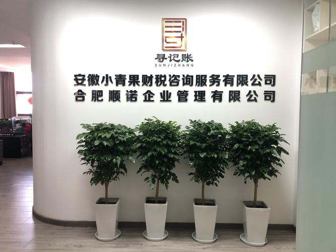 徐兴,公司经营范围包括:会计,审计及税务服务;财务信息咨询